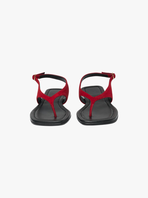 Flip Flop Sandals